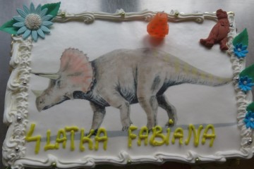 Urodziny Fabianka G.