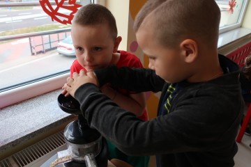 Od pestki do jabłka – czyli skąd się biorą jabłka – promocja jabłek – pieczenie ciasta, robienie sok