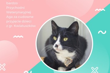 Kwiatuszki z wizytą w Przychodni Weterynaryjnej